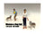 Woman and Dog 2 Piece Figure Set For 1:18 Scale Models