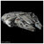 Bandai 0225727 1/72 Star Wars PG Millennium Falcon Standard