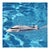 Pro Boat PRB08031T2 Jet Jam Pool Racer RC White - Boats