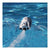 Pro Boat PRB08031T2 Jet Jam Pool Racer RC White - Boats