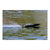 Rage RC Black Marlin 24in Boat RTR - Boats