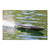 Rage RC Black Marlin 24in Boat RTR - Boats